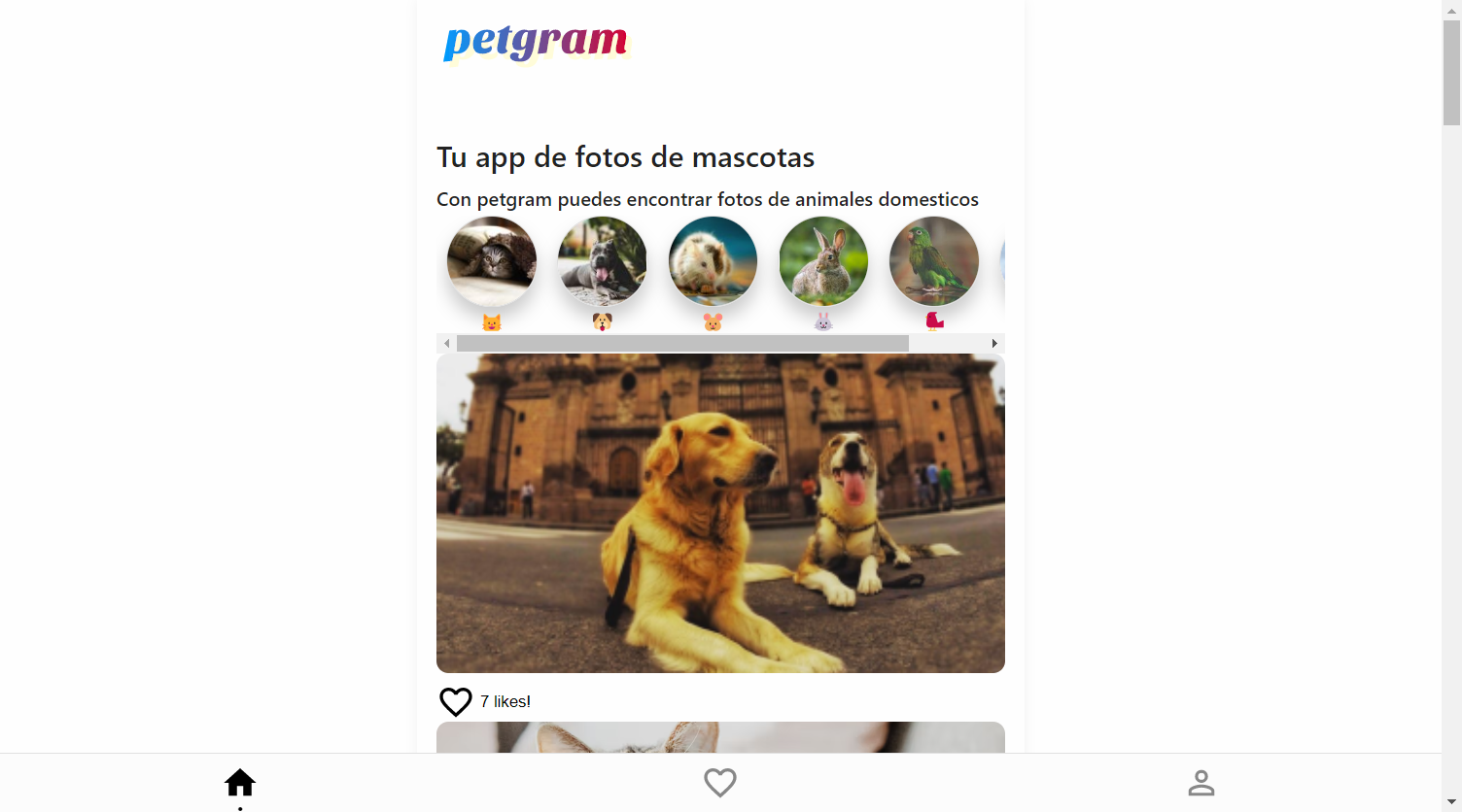 Dictionary App project